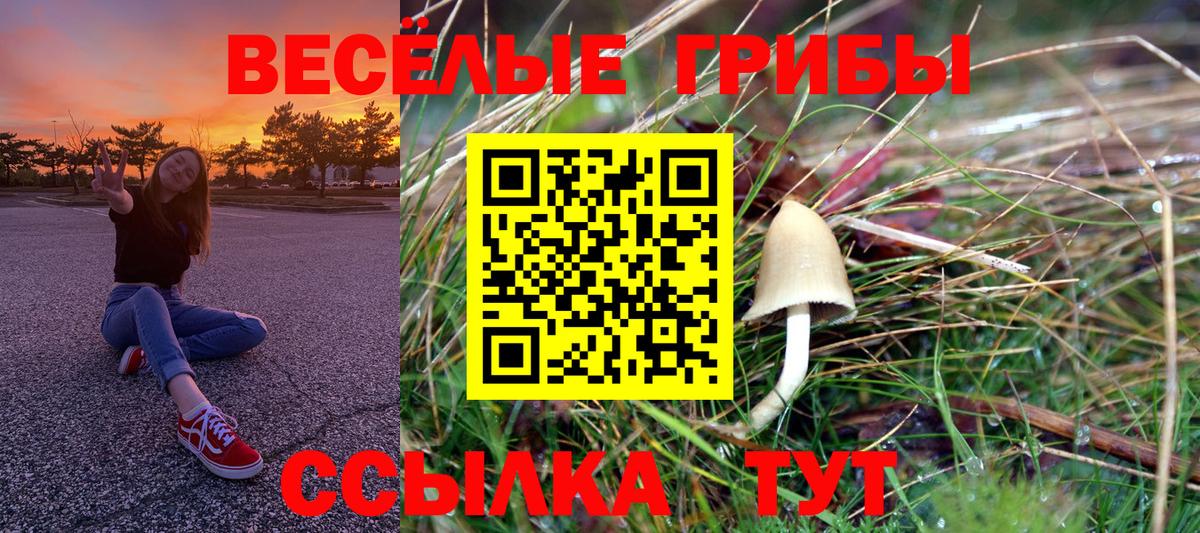 Псилоцибиновые грибы GOLDEN TEACHER Новоуральск